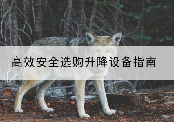 武陵源升降货梯厂家推荐-*安全选购升降设备指南