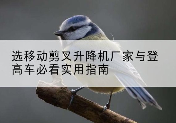 武陵源电动升降机厂家-选移动剪叉升降机厂家与登高车必看实用指南