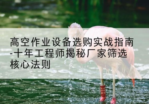 武陵源剪叉式升降机厂家-高空作业设备选购实战指南-十年工程师揭秘厂家筛选核心法则